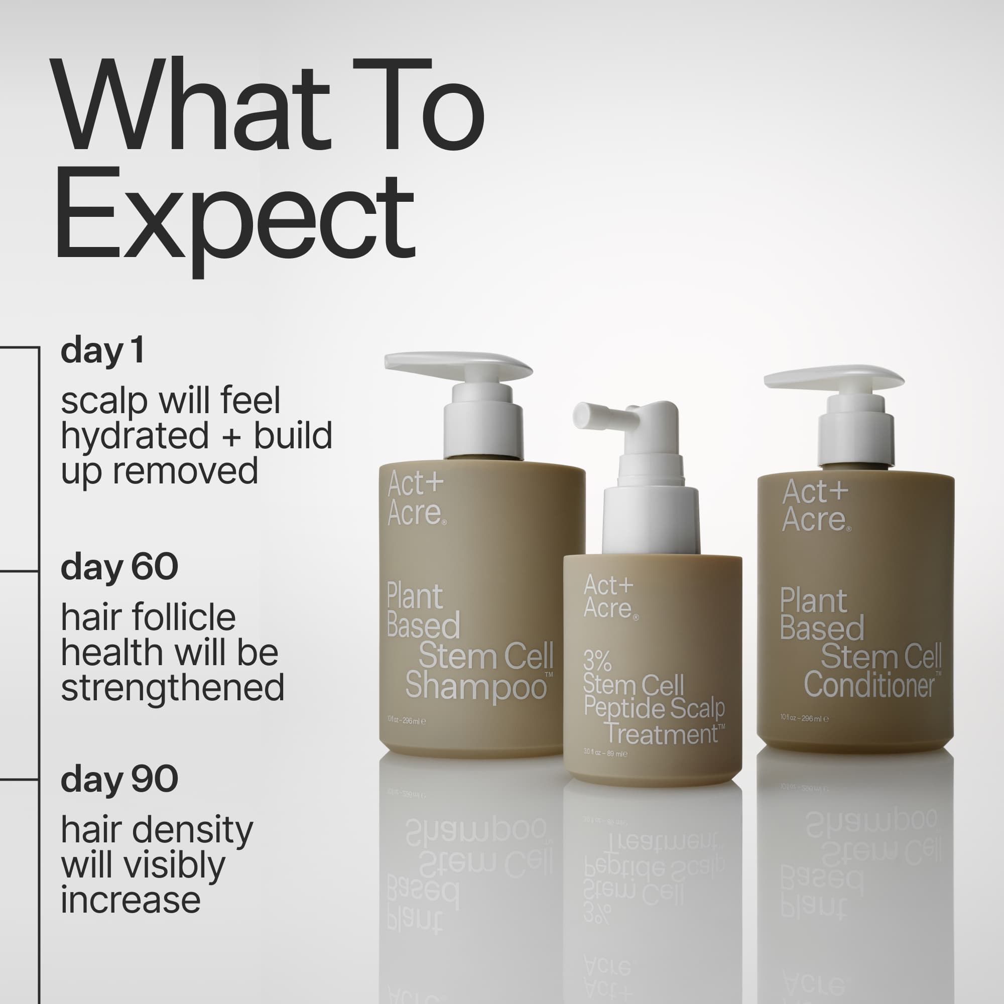 Infographic describing what to expect when using Act+Acre Stem Cell Shampoo