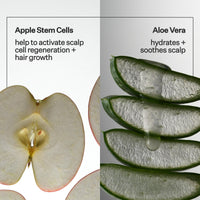 Sliced apple and aloe vera with text on scalp care benefits