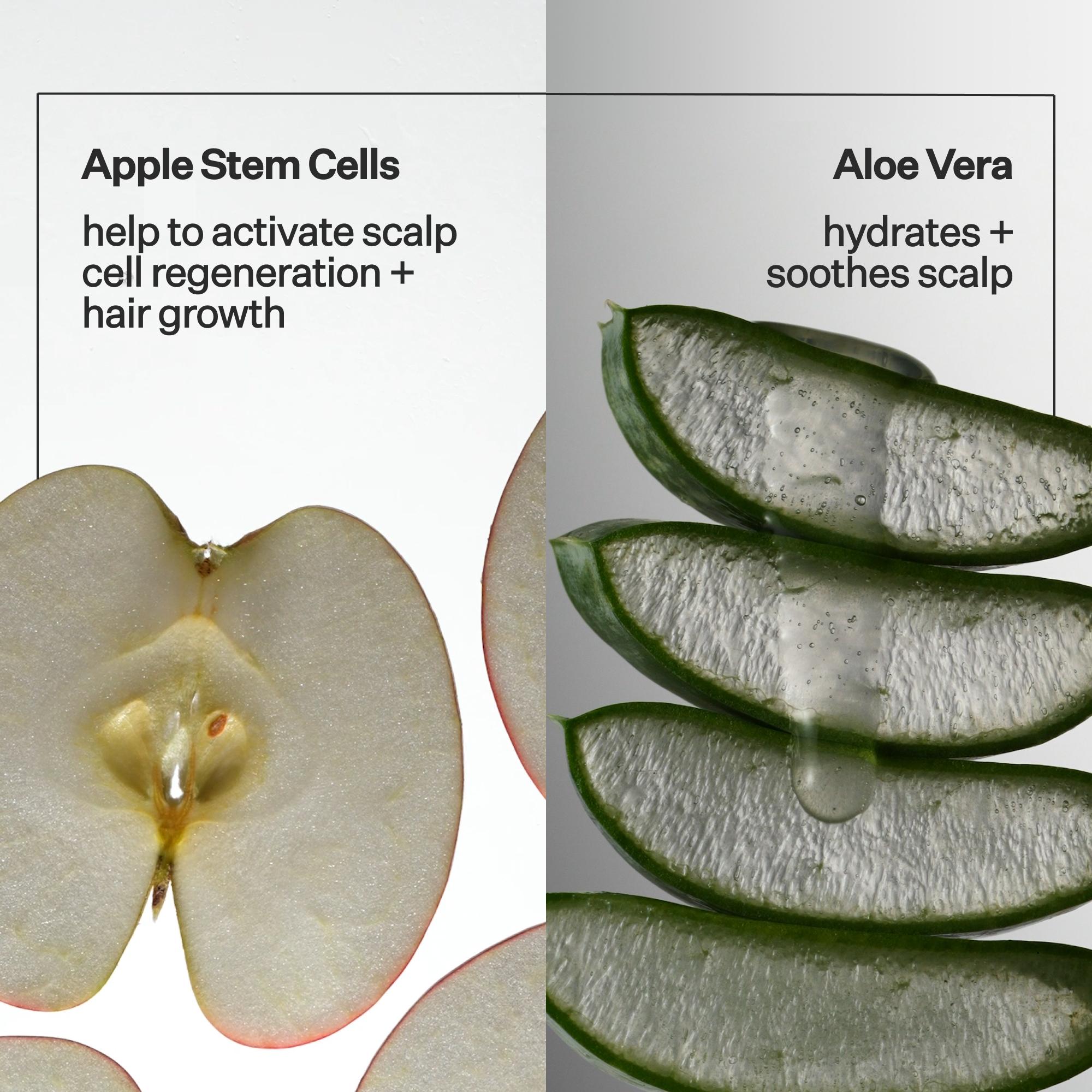 Sliced apple and aloe vera with text on scalp care benefits