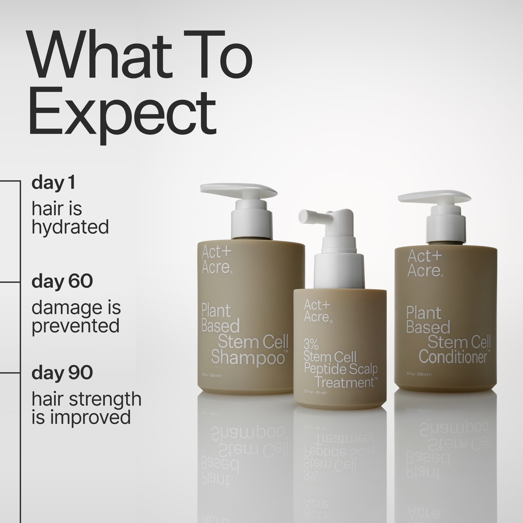 AC Stem Cell+ ACトリートメントセット Plant Based Stem Cell Conditioner™ – Act+Acre