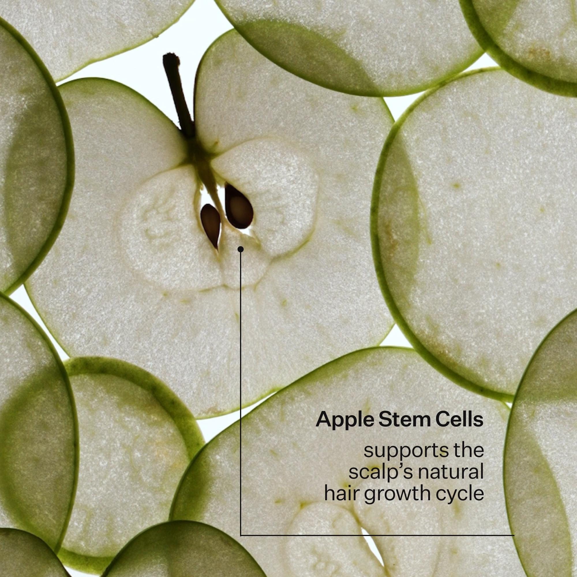 Close-up of sliced apple layers with a central stem area and overlaid text reading 'Apple Stem Cells supports the scalp's natural hair growth cycle.' This is not a clean product shot of a sellable physical item, and it is not a measurement chart, color swatch, instruction diagram, scenery, or placeholder, so subject_type is Other.