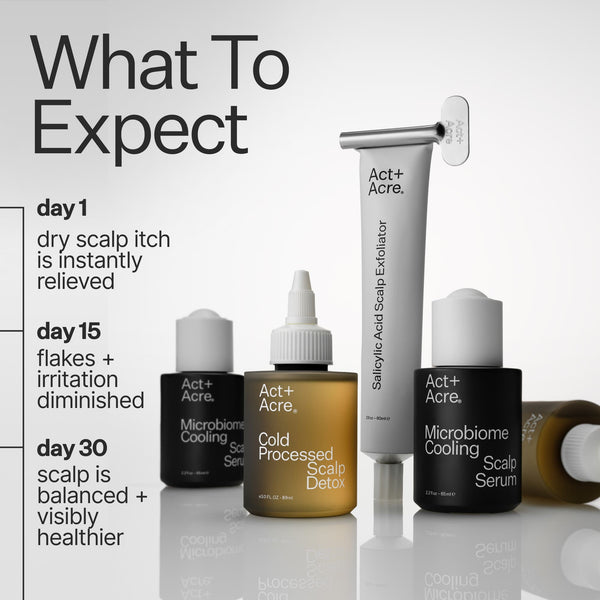 What to expect day by day, multiple product line up 